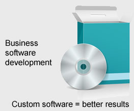 Business software development